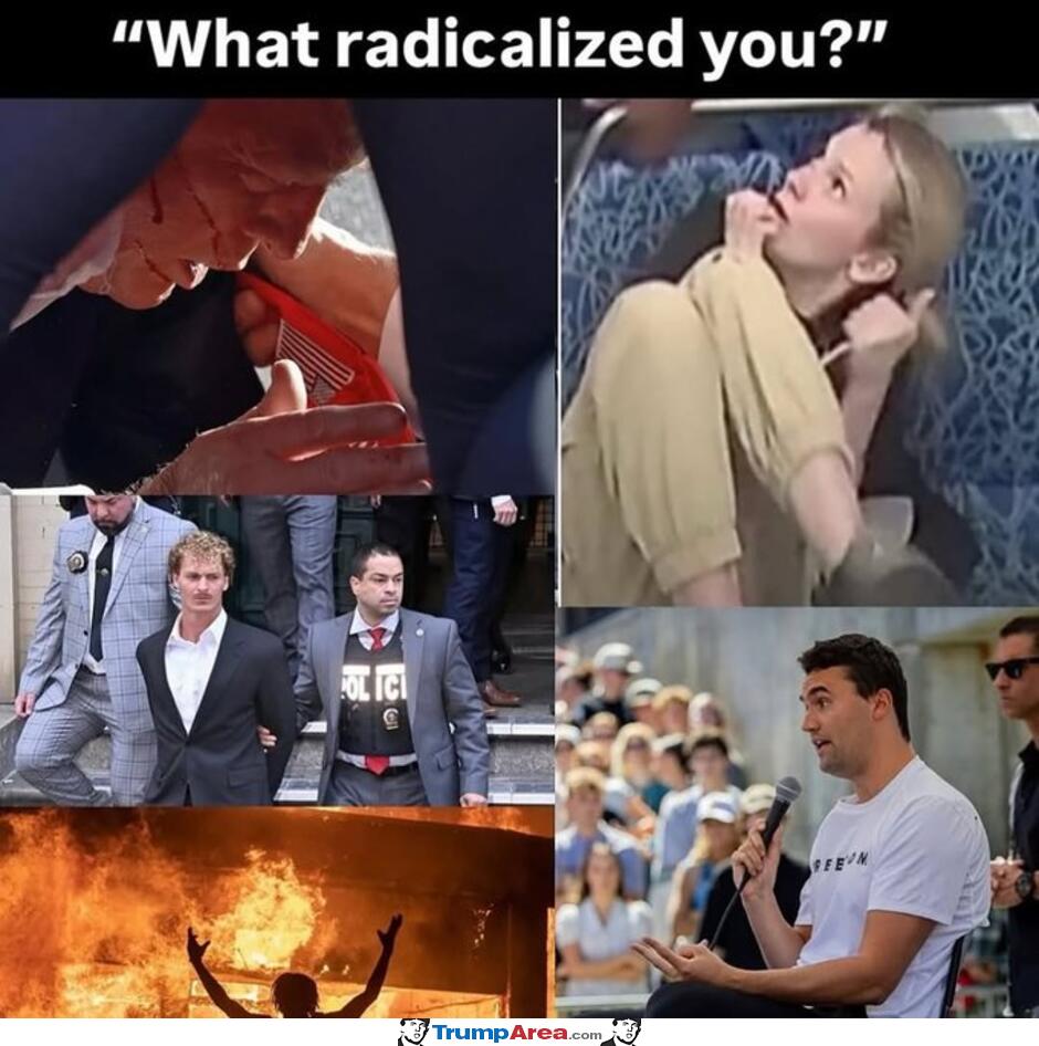 What Radicalized You