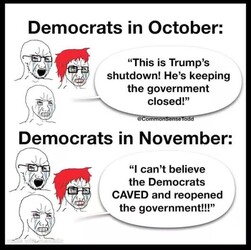 Democrats Are Idiots