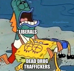 Liberals For Some Reason