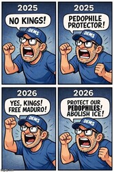 Make Up Your Minds Idiots