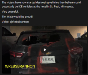 The Left Is So Violent