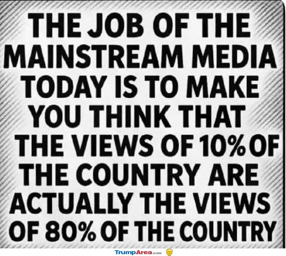 The Mainstream Media