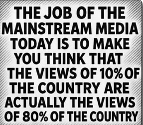 The Mainstream Media