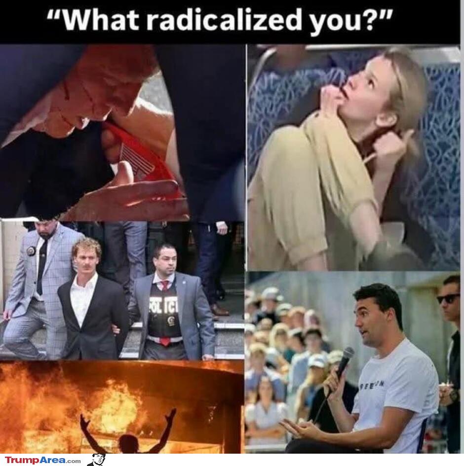 What Radicalized You