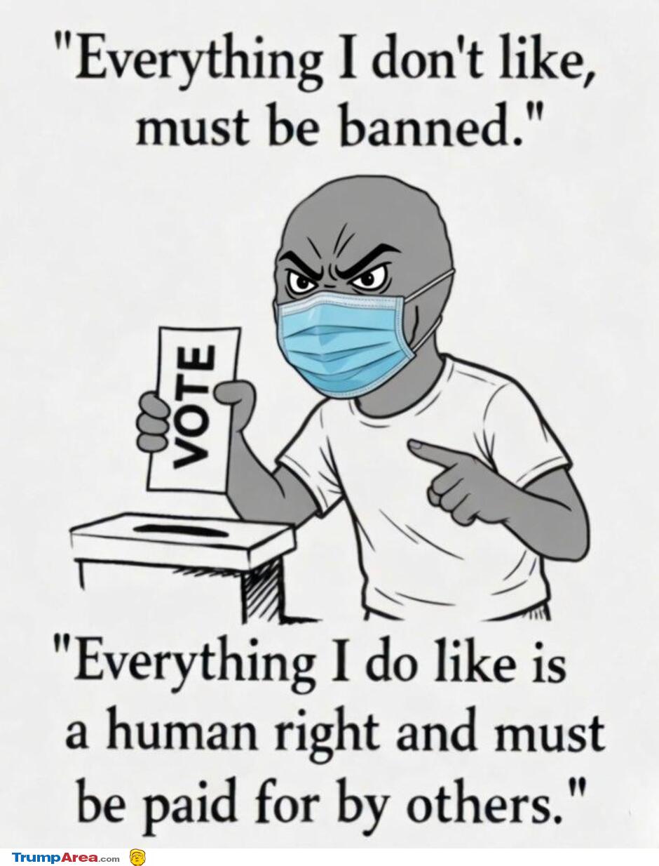 Democrat Logic