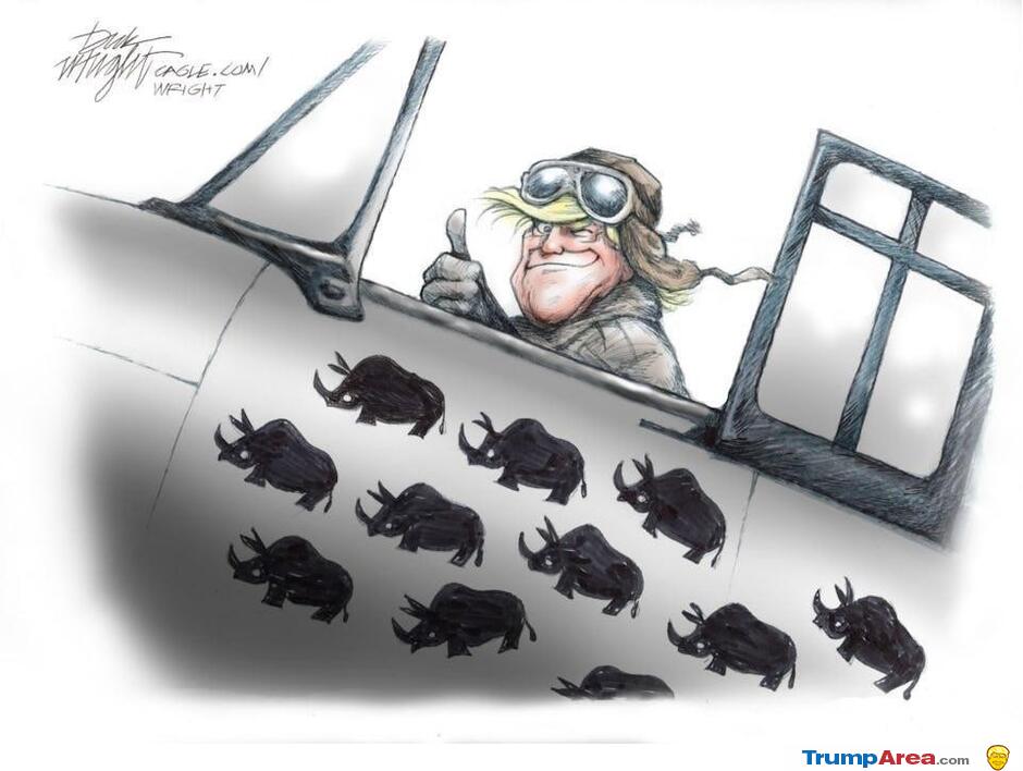 Rino Killer