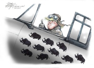 Rino Killer
