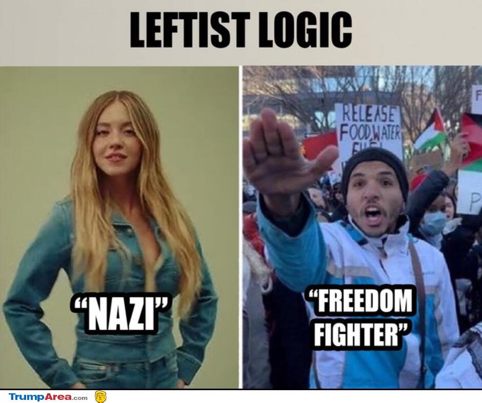 The Weirdest Leftist Logic