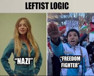 The Weirdest Leftist Logic