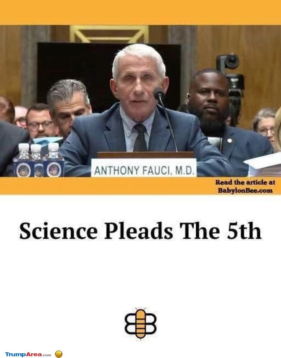Pleads The 5Th
