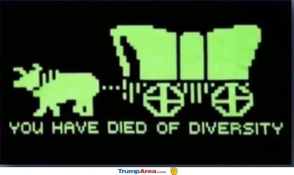You Have Died