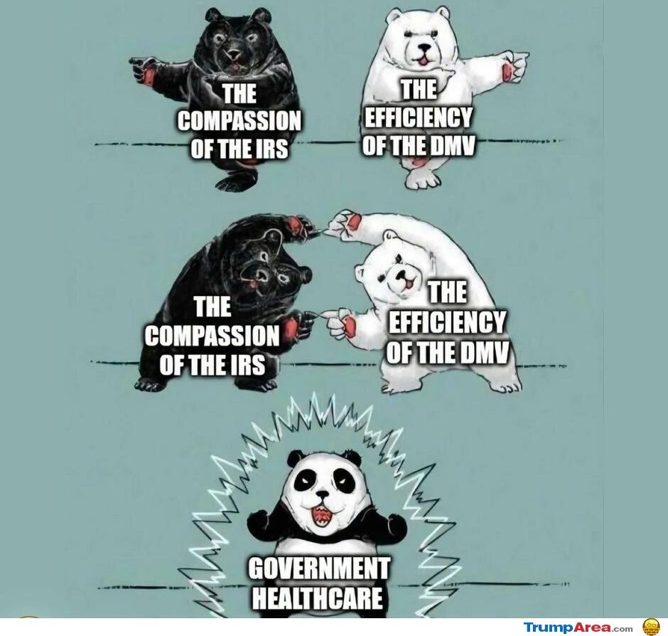 Government Run Things