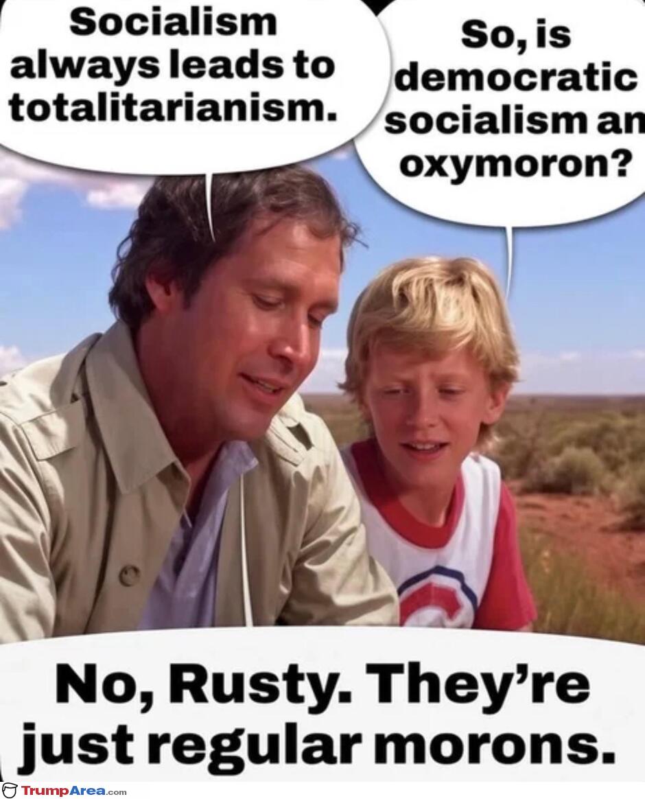 So They Are Morons