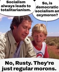 So They Are Morons
