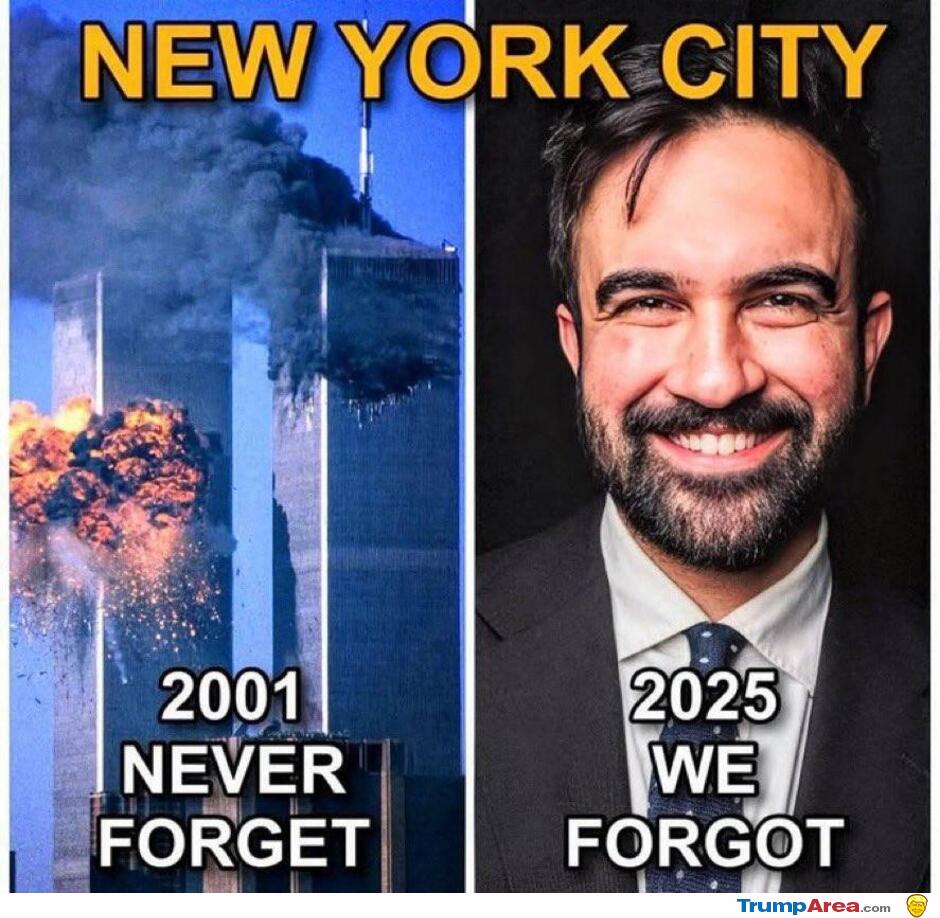 They Forgot Too Fast