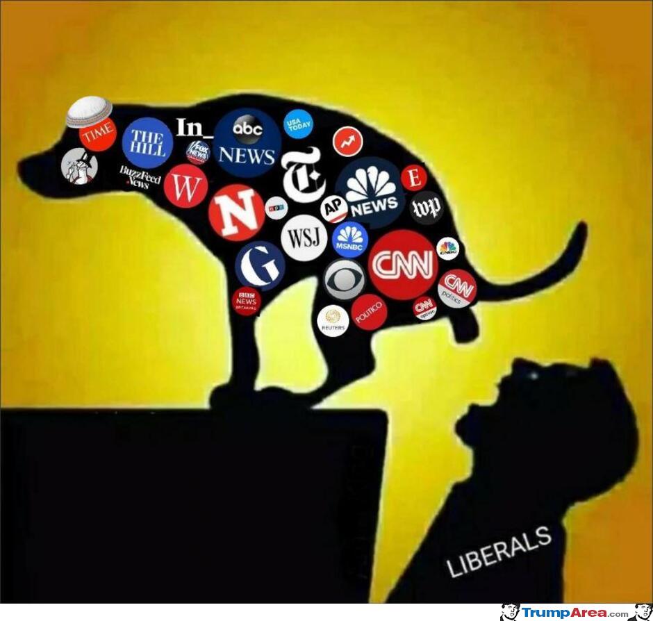 Useful Idiots Creation