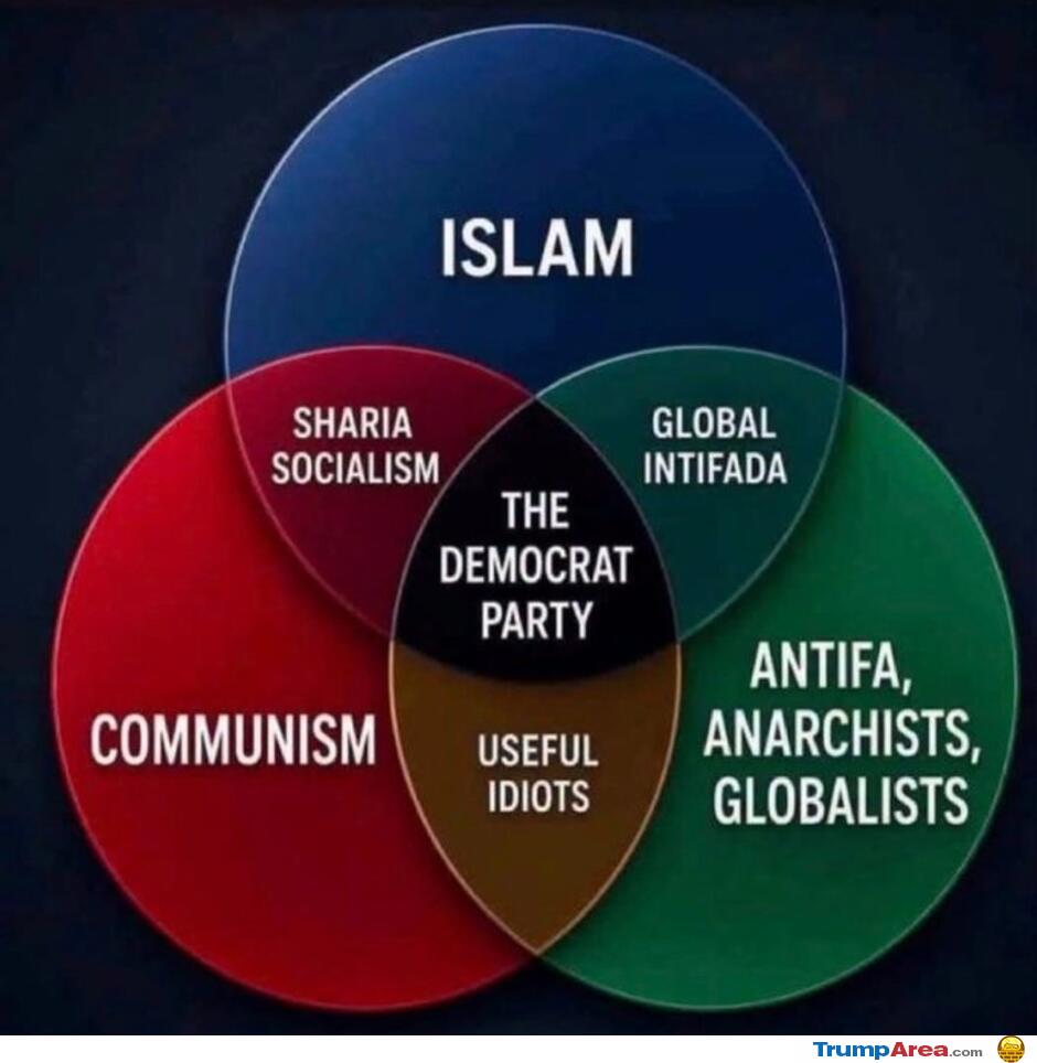 The Democrat Party Chart