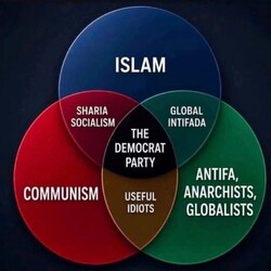 The Democrat Party Chart