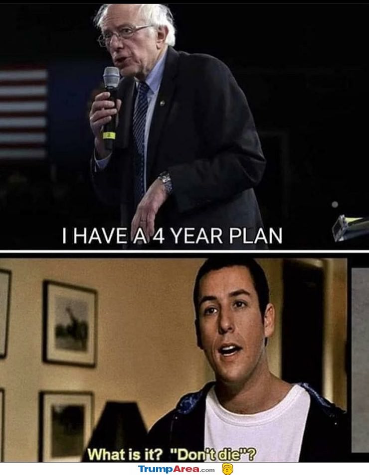 4 Year Plan