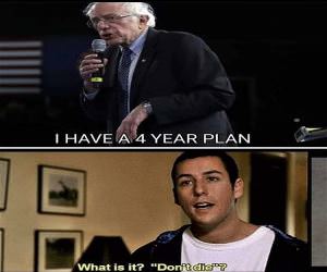 4 Year Plan