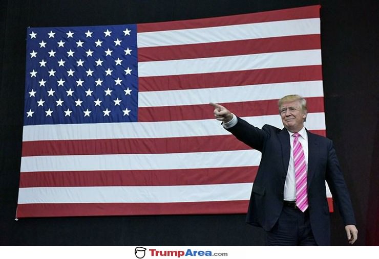 51 Stars Now