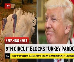 9Th Circuit