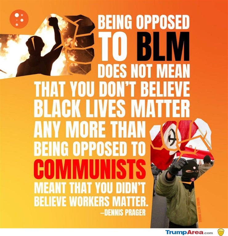 BLM are not the good guys