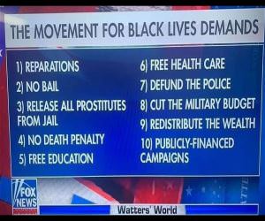 BLM is so stupid