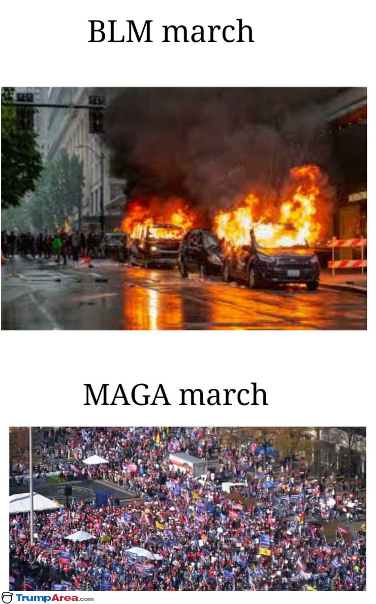 BLM vs MAGA