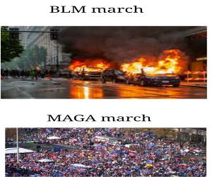 BLM vs MAGA