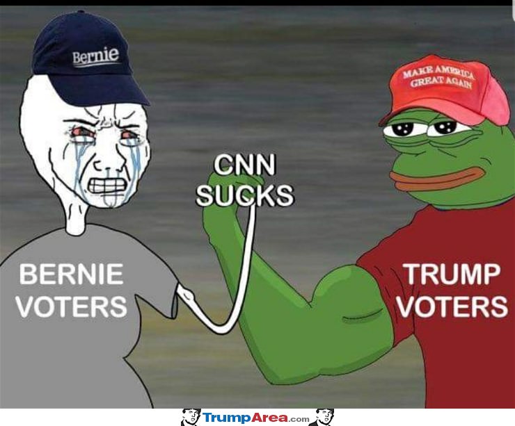 CNN sucks