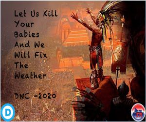 DNC 2020