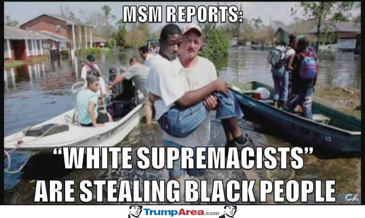 MSM reports