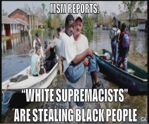 MSM reports