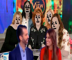 NPC view