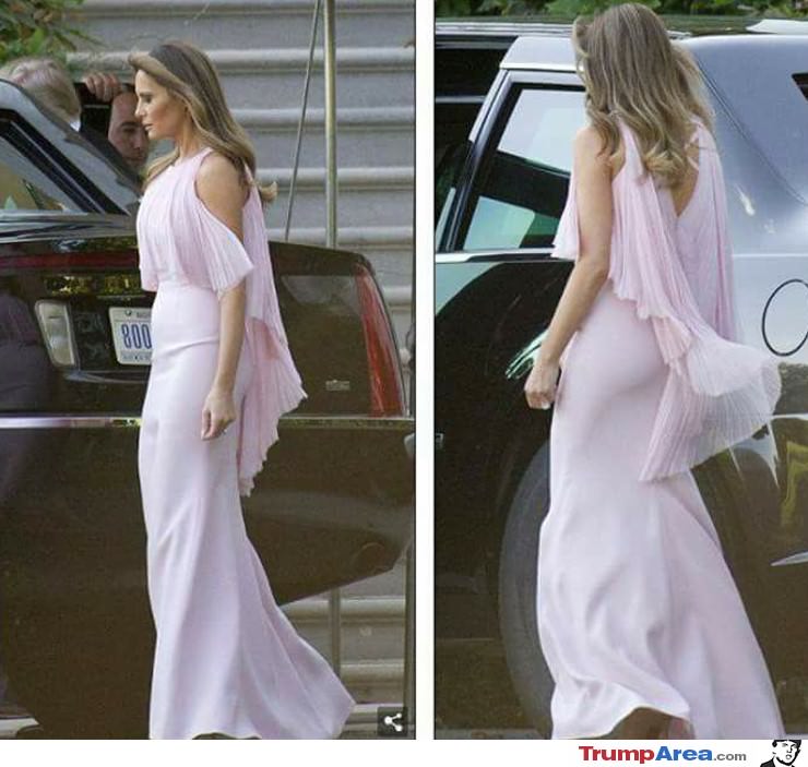 A Beautiful First Lady