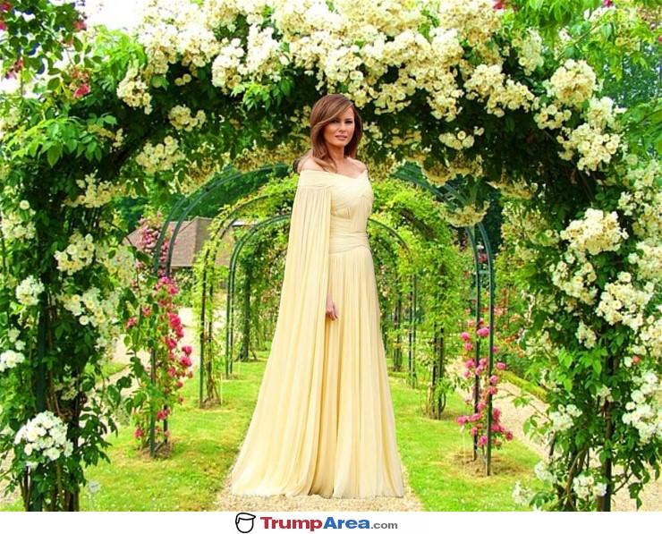 A Beautiful Flotus