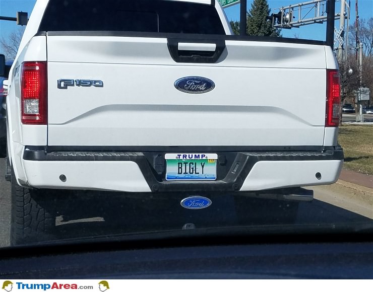 A Bigly Trump Supporter