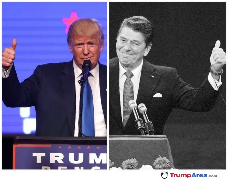A Picture Worth 1000 Words