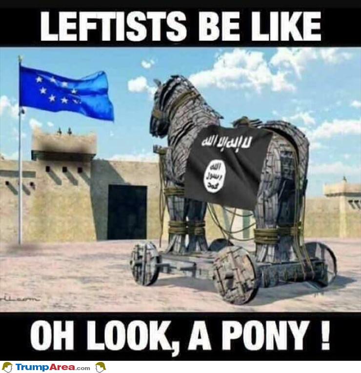 A Pony
