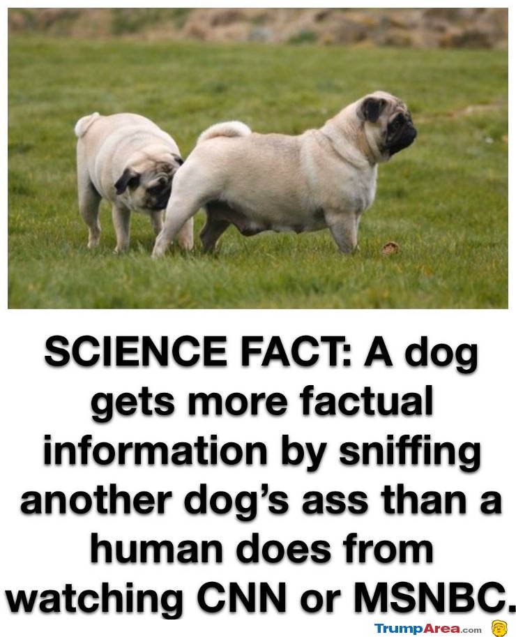 A Scientific Fact