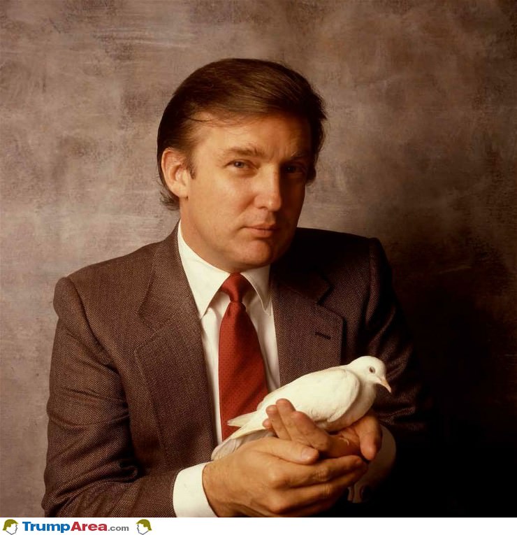 A Very Rare Trump