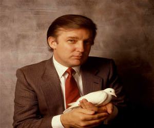 A Very Rare Trump