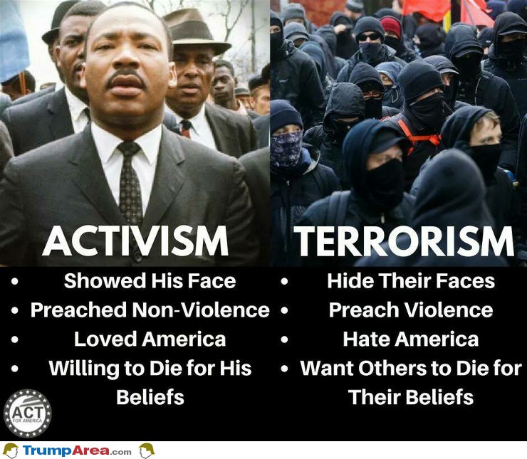 Activism Vs Terrorism