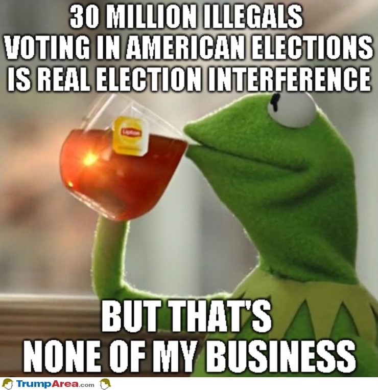Actual Election Fraud