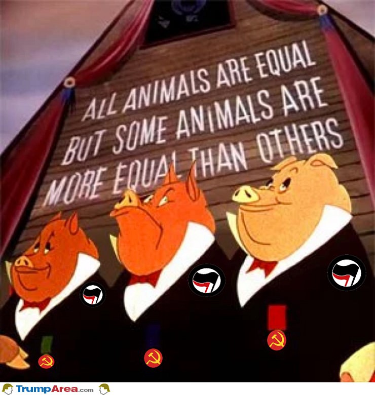 All Animals Are Equal