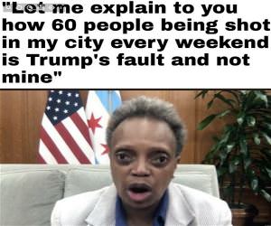 All Trumps Fault