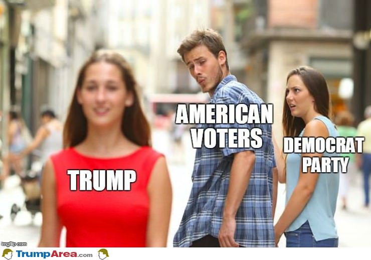 American Voters