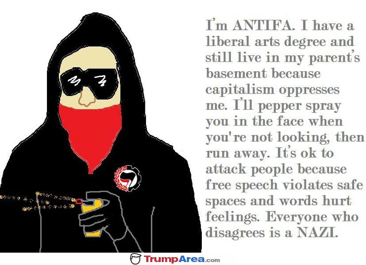 Antifa In A Nutshell
