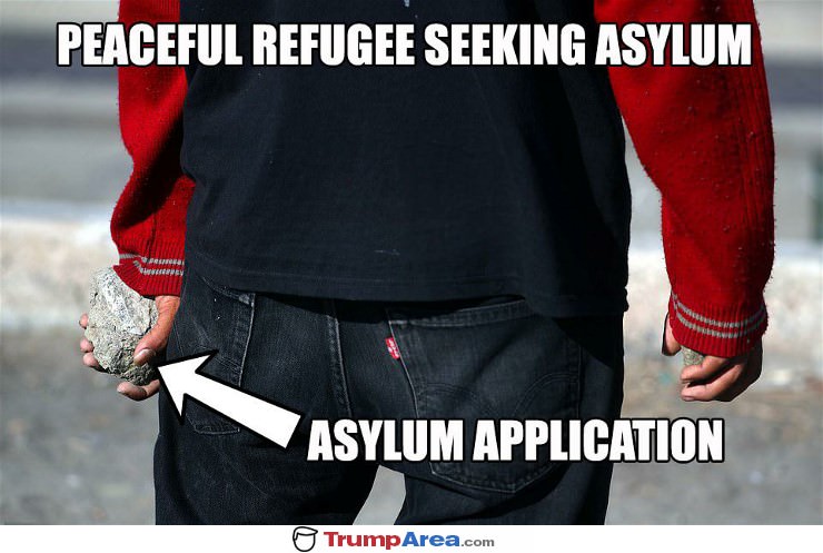 Application For Asylum